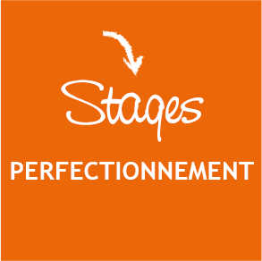 Logo Stage Perfectionnement