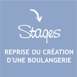 Logo Stages Installation